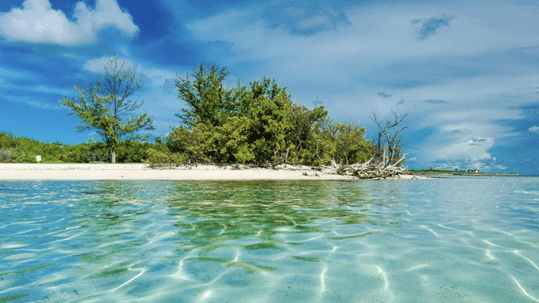 Roaming for Romance? Why The Bahamas Delivers