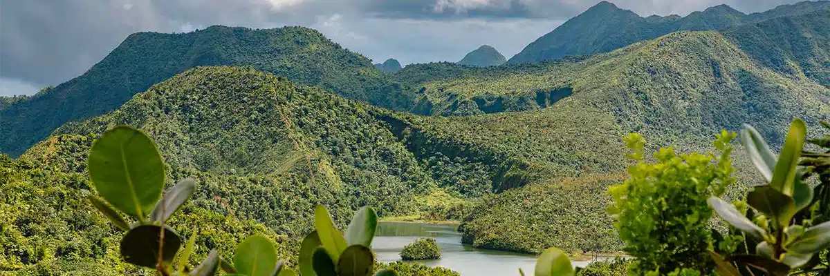 Dominica Dominica