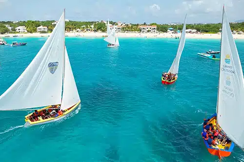 Anguilla Anguilla